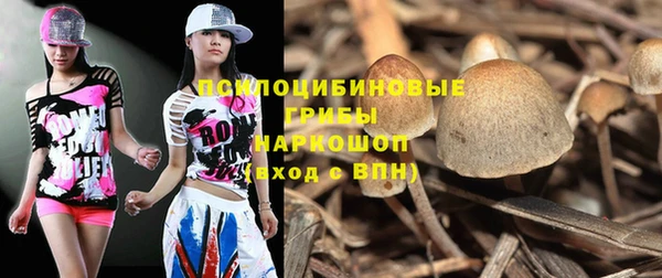 MDMA Premium VHQ Аркадак
